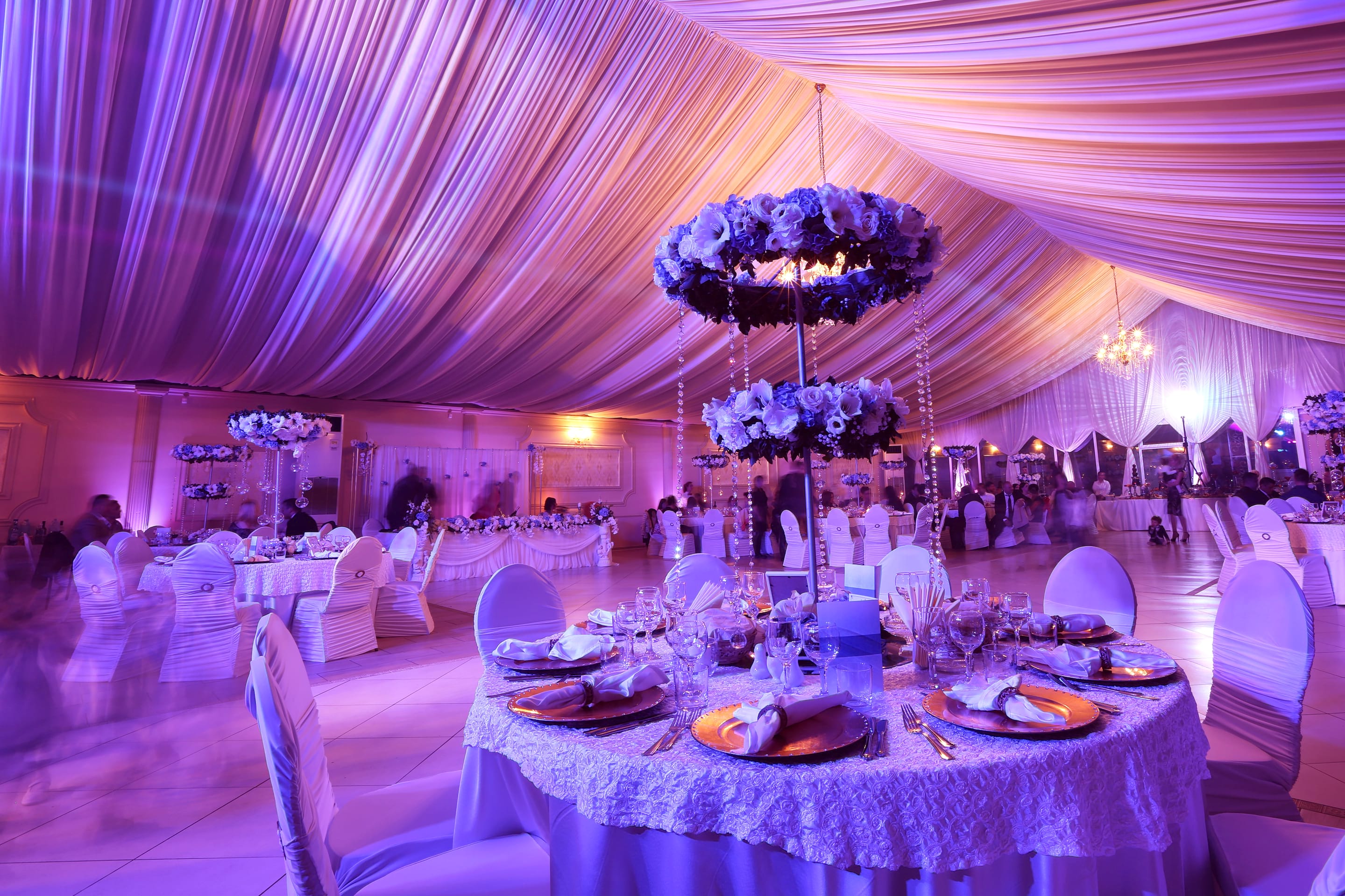 Event Management Specialists